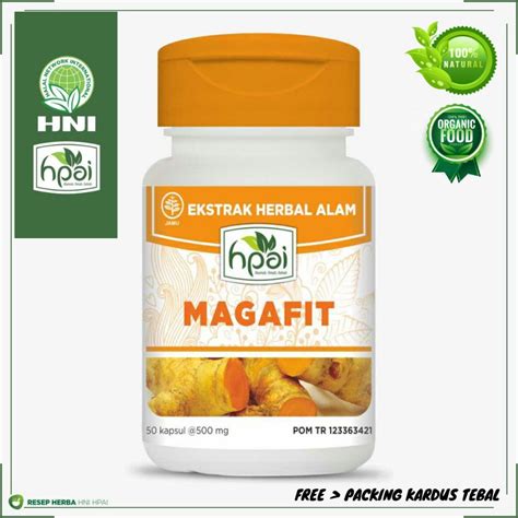 Jual HNI HPAI KAPSUL MAGAFIT EXTRAK KUNYIT MEMELIHARA FUNGSI ORGAN