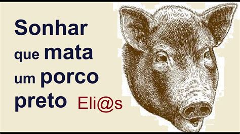 O Que Significa Sonhar Matando Porco - SONHAR QUE MATA UM PORCO PRETO significado - YouTube