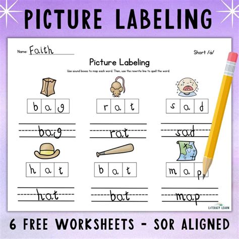 Picture Labeling 6 Free Worksheets Literacy Learn