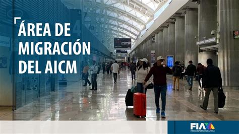 El área De Migración Del Aicm Youtube