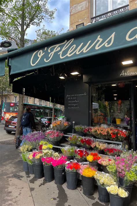 Paris Flower Shop Flower Shop Paris Flowers Floral Shop