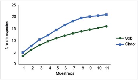 Curva de acumulación de especies Download Scientific Diagram