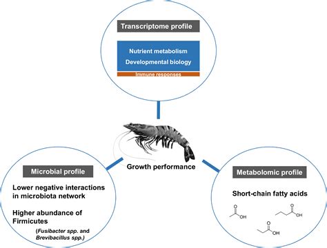 Multi-omics analysis to examine microbiota, host gene expression and