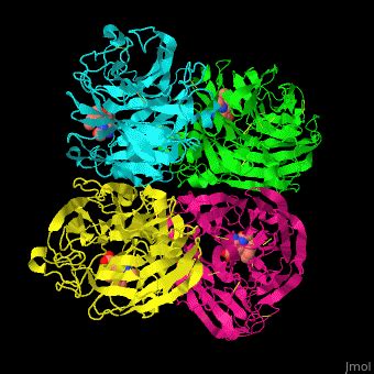 Neuraminidase - Proteopedia, life in 3D