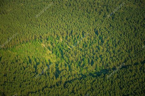 Un hermoso paisaje aéreo de Riga y la zona que mira por una pequeña