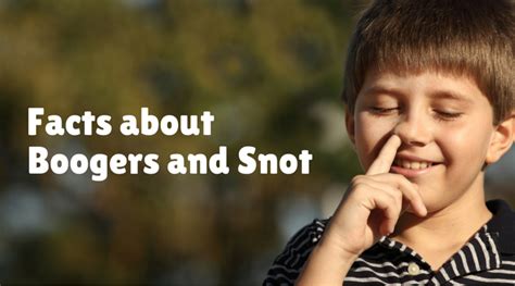 6 Facts About Boogers And Snot