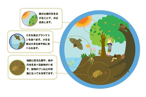 生物多様性｜小学生向け教材なら【ぎふ環境学習ポータルサイト】