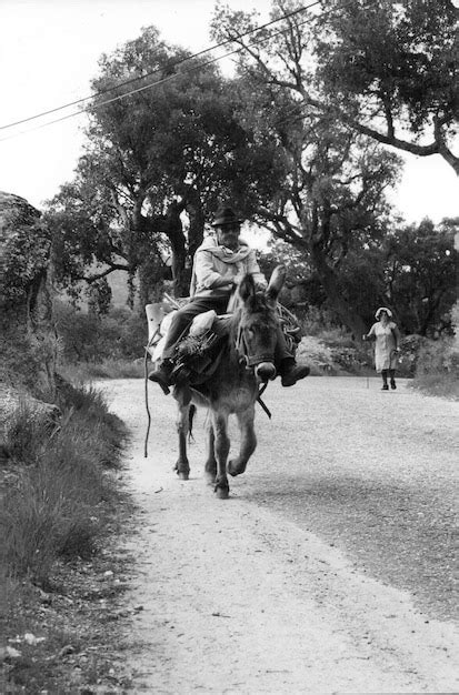 Premium Photo Man Riding Donkey On Road