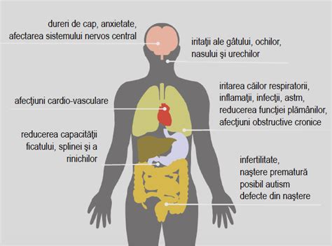 Ce Respirăm Strop de aer