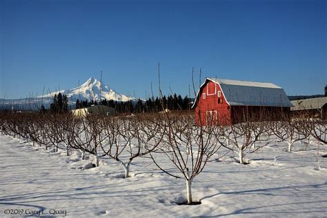 Barn And Mountain Parkdale Oregon A Winter Orchard Near Flickr