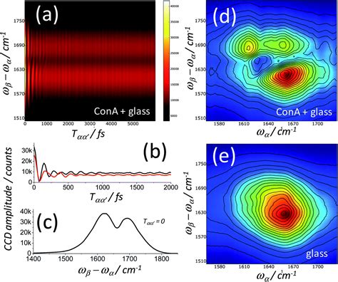 Photon Echoes And Two Dimensional Spectra Of The Amide I Band Of