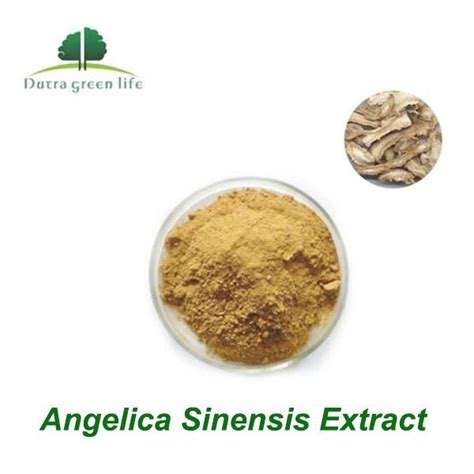 China Organic Angelica Sinensis Extract Manufacturers Factory Wholesale Service Nutragreenlife