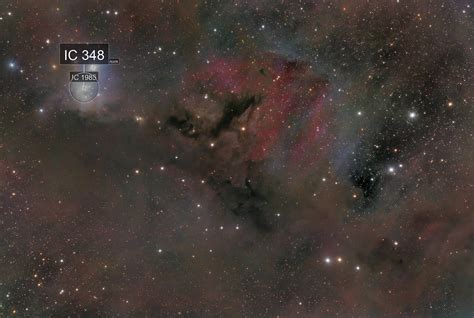 Omicron Persei Ic348 And The Perseus Molecular Cloud Giulio Ercolani