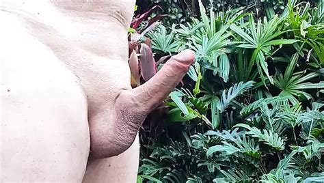 Papi de 70 ans n 209 sperme non coupé branlette mature en solo xHamster