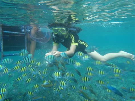 Pulau Pari 1 Hari Membangun Semangat Keliling Nusantara