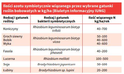 Koszty nawożenia azotem można ograniczyć dzięki bakteriom i bobowatym