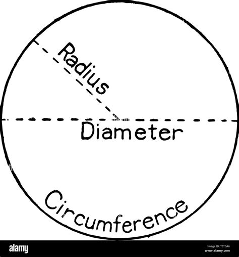 An image of a circle with labels for radius, diameter and circumference ...