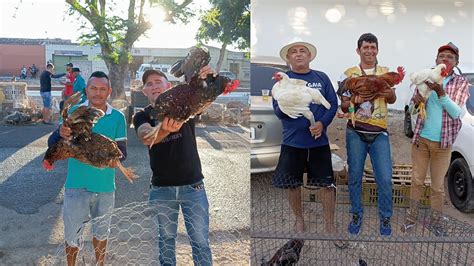 Vanio Na Feira Das Galinhas Em Arapiraca Mostrando Todas As Novidades