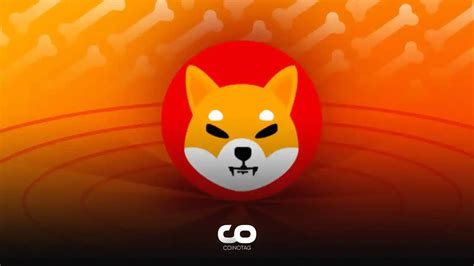 Shiba Inu Coin Sees Monumental Burn What It Means For The Future Of