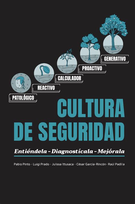 Cultura De Seguridad Enti Ndela Diagnost Cala Mej Rala