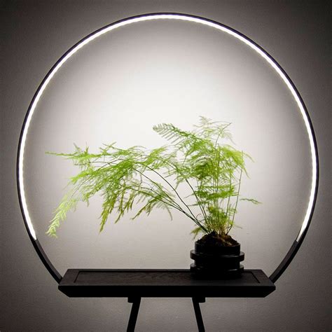 This Halo Light Planter Helps Your Indoor Plants Grow While Proudly