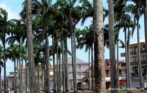 Cayenne Horaires Des Mar Es En Septembre A Baigne