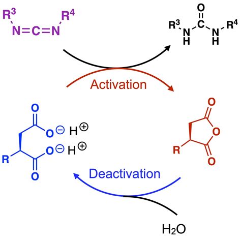 Carbodiimide Fueled Reaction Cycles Boekhovenlab