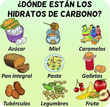 Características funciones y tipos de hidratos de carbono Botanical