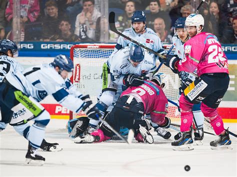 PENNY DEL Eisbären trotz Niederlage weiter Tabellenführer