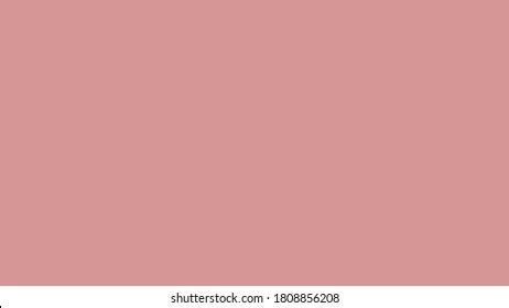 Plain Dusty Pink Solid Color Background Stock Illustration 1808856208 ...