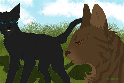 Leafpool X Crowfeather by Nharlie on DeviantArt