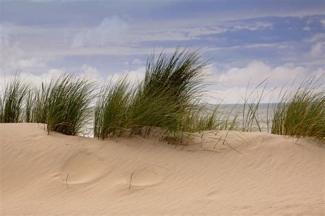 Dunas De Arena Playa Mar Foto Gratis En Pixabay Pixabay