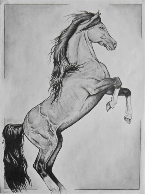 25 Idea Horse Pencil Sketch Drawing Free For Download - Sketch Drawing Art