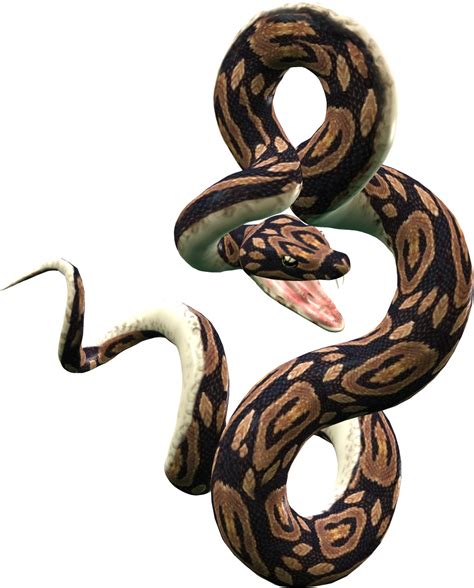 Snake Png Transparent Images Pictures Photos