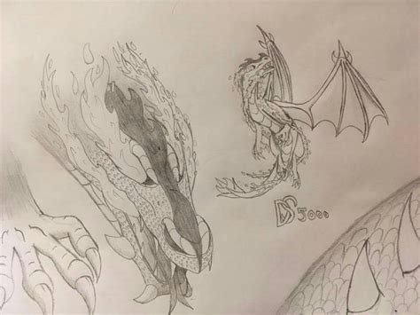 Fire dragon sketch by Dragonsoul5000 on DeviantArt