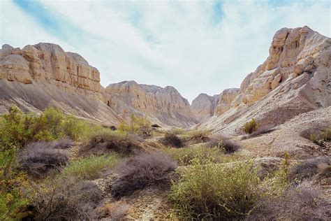 Rugged Landscape In The Wilderness Of By Reynold Mainse Design Pics