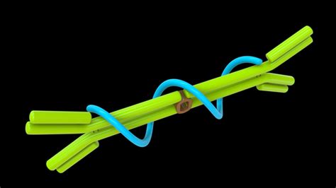 3d Iga Antibodies Turbosquid 2187578