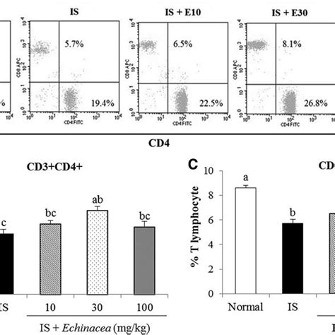 Effects Of Echinacea On Serum Levels Of Il 6 A Il 10 B And Il 17