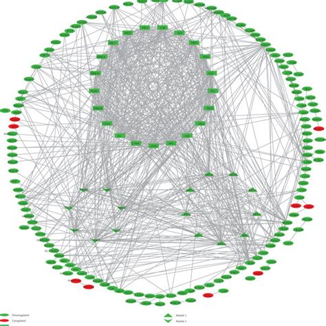 Protein Protein Interaction Network Of Degs Green Nodes Stand For