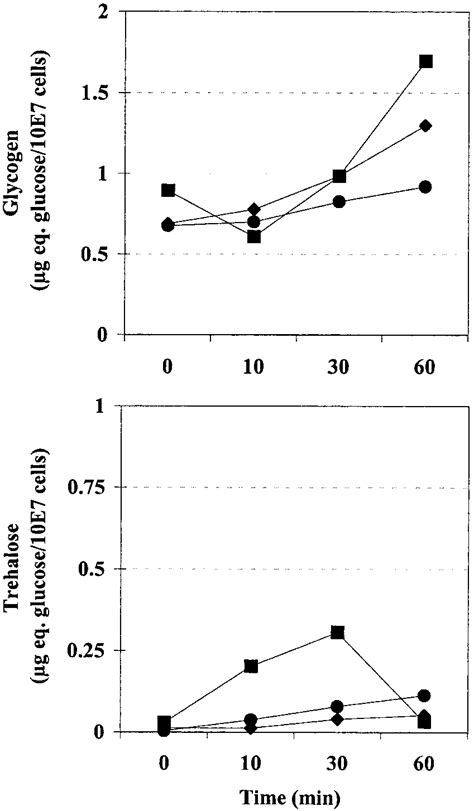 Effects Of Stresses On The Carbohydrate Reserve Levels Of C Albicans