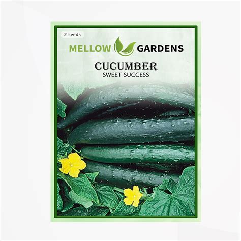 Sweet Success Cucumber Seeds | Lazada PH