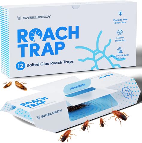 Amazon Pack Glue Traps By Eco Pro Pest Control Non Toxic