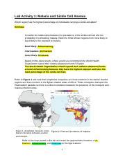 Steinhilber Kira Popgen Docx Lab Activity Malaria And Sickle Cell