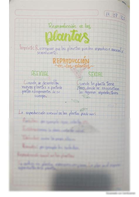 SOLUTION La Reproducci N De Las Plantas Studypool