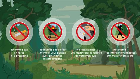 Lutte Contre Les Feux De Forêt Conseils De Prévention Ministère De