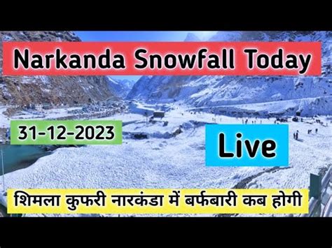 Narkanda Snowfall Update Narkanda Hill Station Shimla Kufri Narkanda