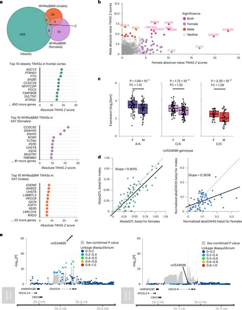 Genes Identified By Twas A Overlap Between Twas Identified Gene Sets