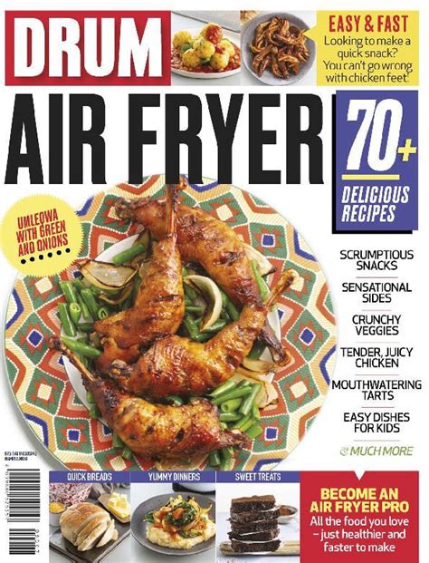 Drum Air Fryer Magazine Digital