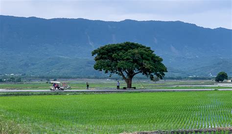 Fields of Jade - Get Me To Taiwan