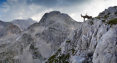 Parco Naturale Fanes Sennes Braies Dolomiti Unesco